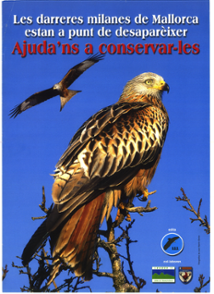 <strong>Cartell milana. Any 2000</strong>