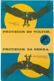 <strong>Cartell ornitologia. Any 1979</strong>