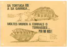 <strong>Cartell tortugues. Any 1981</strong>