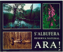 <strong>Cartell Albufera. Any 1982</strong>