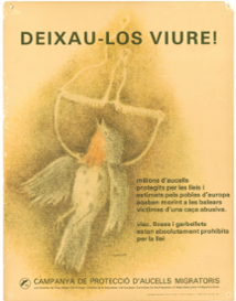<strong>Cartell ocell migrant. Any 1981</strong>